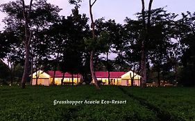 Grasshopper Acacia Eco Resort